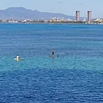 Colony Surf 102
