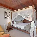 Colony Surf 102